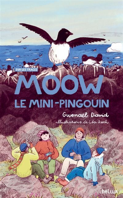 Moow, le mini-pingouin Sur les traces