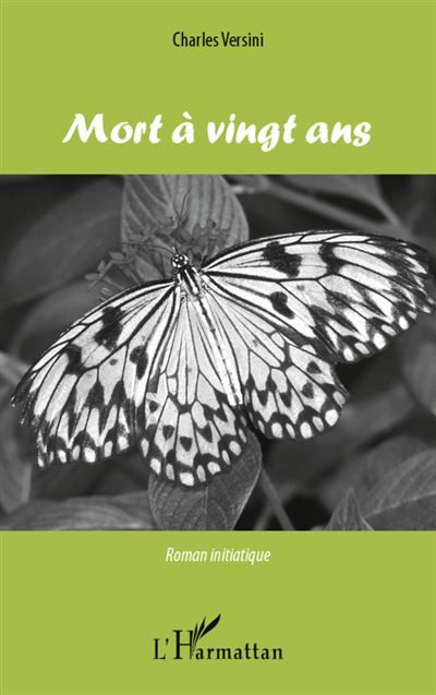 Mort à vingt ans Roman initiatique