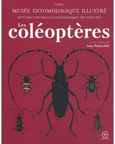 Musée entomologique illustré 1 Les coléoptères