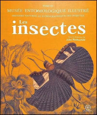 Museé entomologique illustré 3 - Les insectes