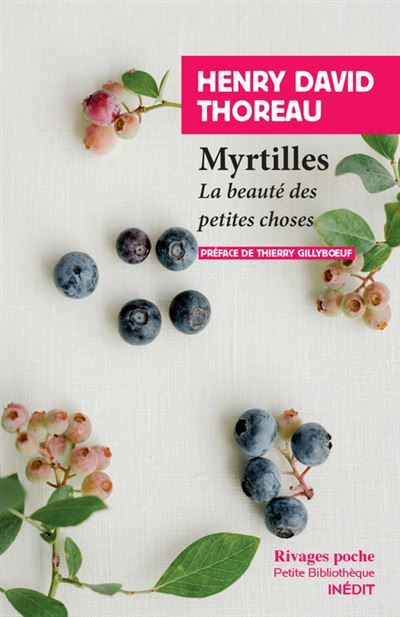 Myrtilles La beauté des petites choses