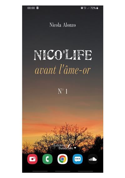 Nico'life avant l'âme-or N° 1