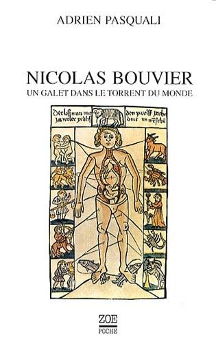Nicolas Bouvier un galet dans le torrent du monde