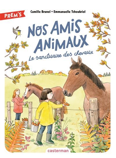 Nos amis animaux Le sanctuaire des chevaux