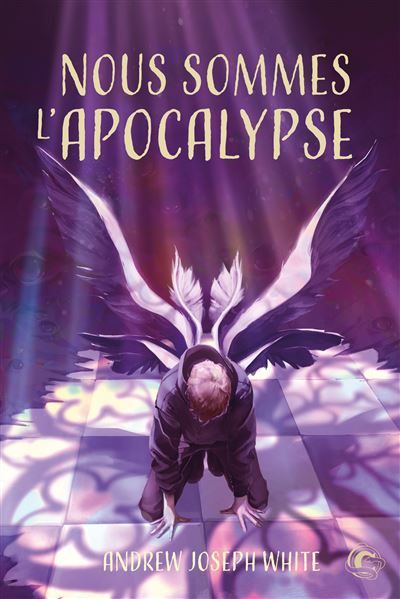 Nous sommes l'Apocalypse (Édition reliée)