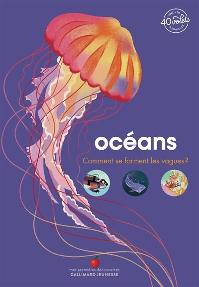 Océans Comment se forment les vagues ?
