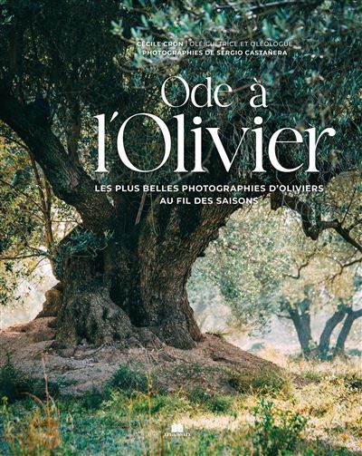 Ode à l'Olivier Les plus belles photographies d'Oliviers au fil des saisons