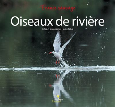 Oiseaux de riviere