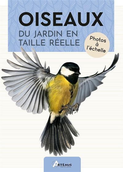 Oiseaux du jardin en taille réelle Photos à l'échelle