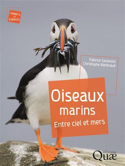 Oiseaux marins Entre ciel et mers