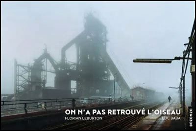 On n'a pas retrouvé l'oiseau
