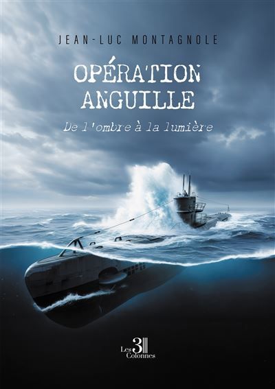 Opération anguille De l'ombre à la lumière