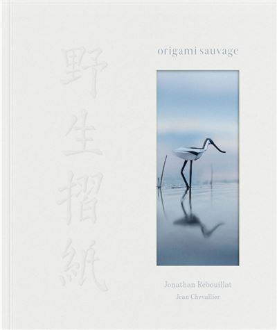 Origami sauvage