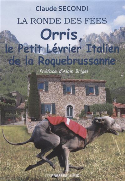 Orris, le petit levrier italien de la roquebrussane
