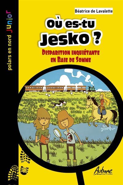 Ou es-tu jesko Disparition inquietante en baie de somme