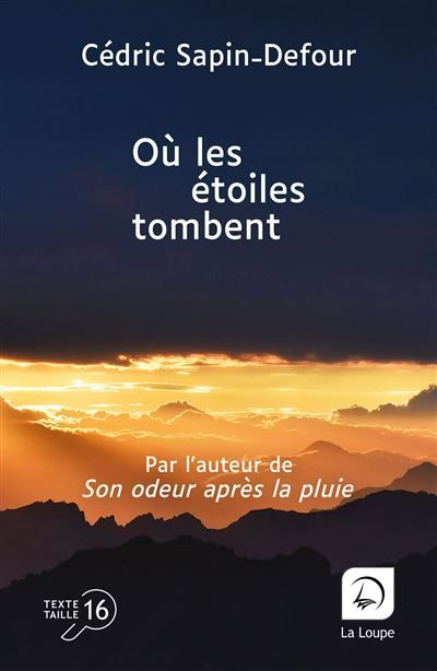Où les étoiles tombent Édition en gros caractères