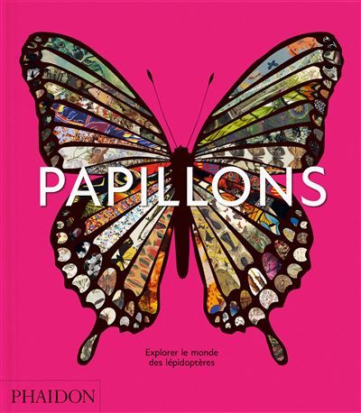 Papillons Explorer le monde des lépidoptères - Victoria Clarke
