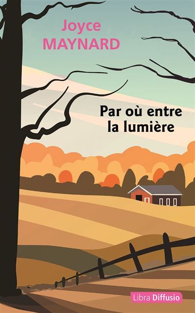Par où entre la lumière Edition en gros caractères