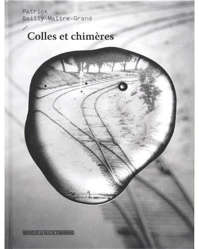 Patrick Bailly-Maître-Grand, Colles et chimères - [expositions, Strasbourg, Musée d'art moderne et contemporain, 28 juin-19 octobre 2014, Chalon-sur-