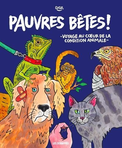 Pauvres bêtes ! - Voyage au coeur de la condition animale