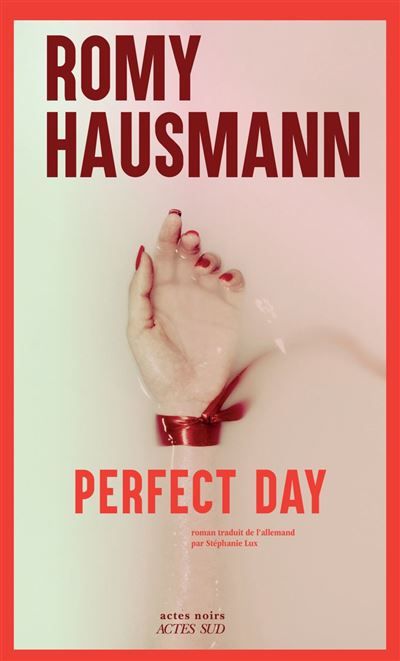 Couverture de Perfect Day par Romy Hausmann