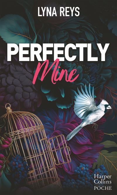 Perfectly Mine En amour, tout n'est pas parfait