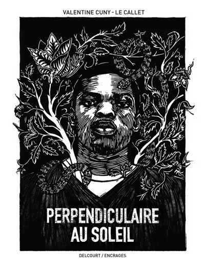 Perpendiculaire au soleil Prix BD Fnac France Inter 2023