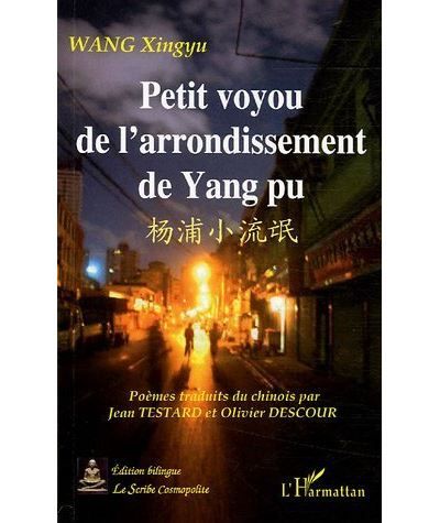 Petit voyou de l'arrondissement de Yang pu
