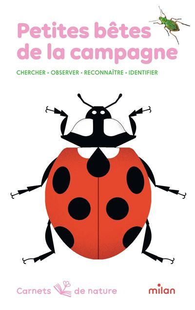 Petites bêtes de la campagne