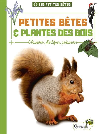 Petites bêtes et plantes des bois