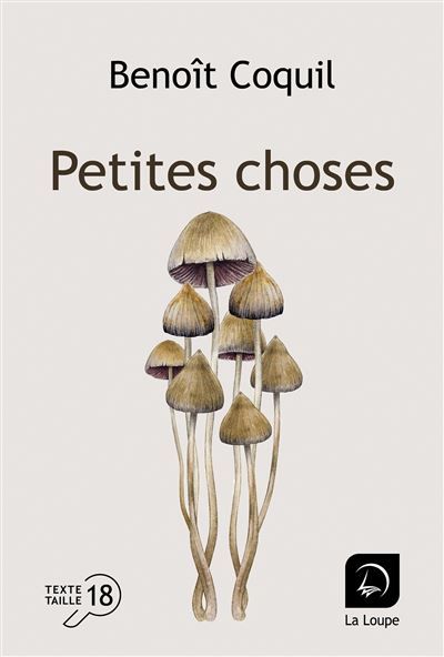 Petites choses Édition en gros caractères