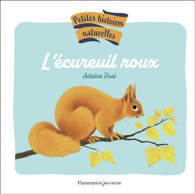 Petites histoires naturelles - L'écureuil roux