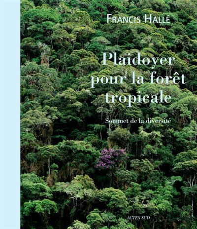 Plaidoyer pour la forêt tropicale Sommet de la diversité