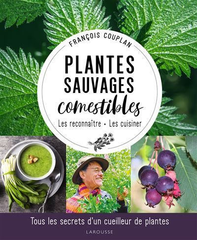 Plantes sauvages comestibles Tous les secrets d'un cueilleur de plantes