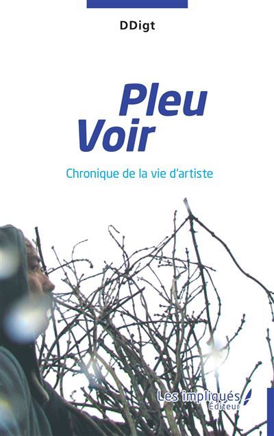 Pleu Voir Chronique de la vie d'artiste