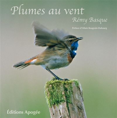 Plumes au vent Preface d'allain bougrain-dubourg