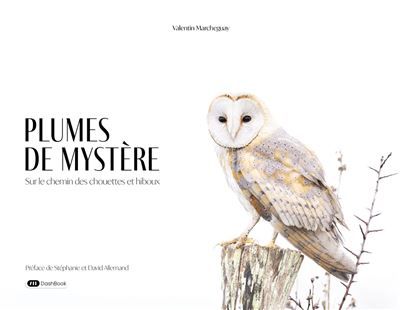 Plumes de mystère Sur le chemin des chouettes et hiboux