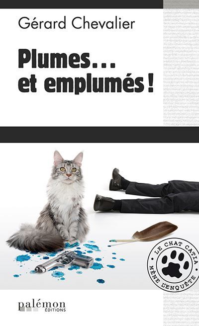 Plumes... et emplumés ! Le chat Catia mène l'enquête