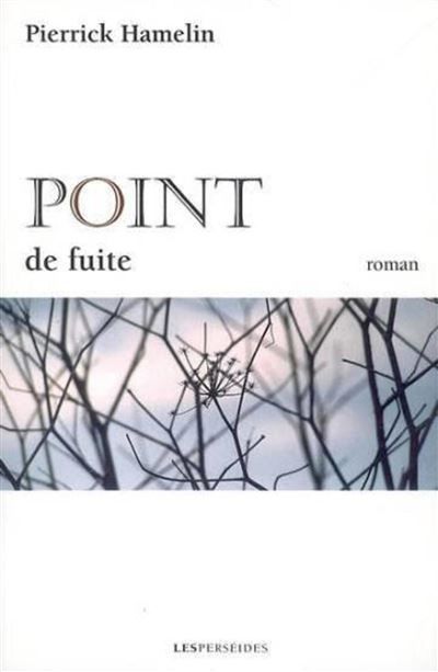 Point de fuite