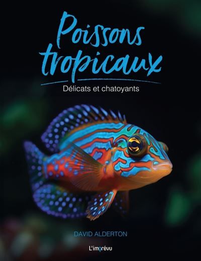Poissons tropicaux Délicats et chatoyants
