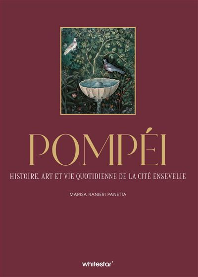 Pompéi - Histoire, art et vie quotidienne de la cité ensevelie