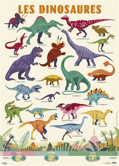 Poster les dinosaures min 5