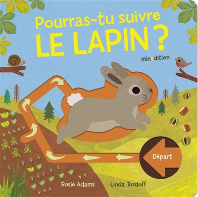 Pourras tu suivre le lapin ? - Linda Tordoff