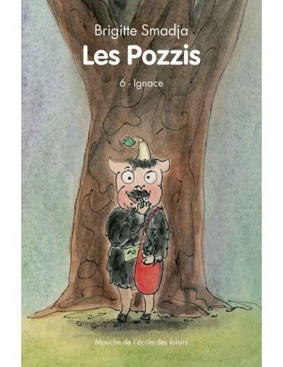 Pozzis vi ignace