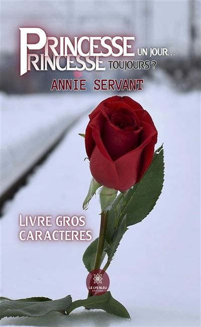 Princesse un jour... Princesse, toujours ? - Livre gros caractères Édition en gros caractères