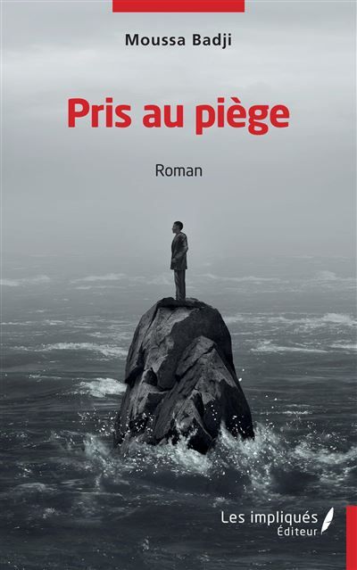 Pris au piège Roman