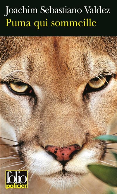 Puma qui sommeille Une enquête impériale de l'Inca Tupac Hualpa