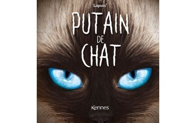 Putain de chat T10