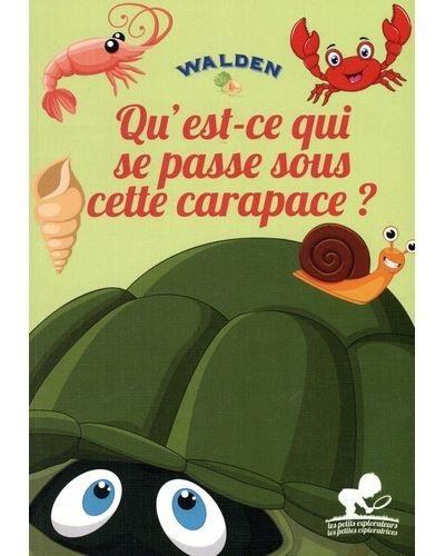Qu’est-ce qui se passe sous cette carapace ?