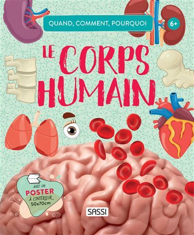 Quand, comment, pourquoi - Le corps humain - Mattia Cerato